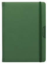 Diář 2013 denní A5 - Janus zelený