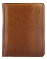 Diář 2013 denní B6 - Kastor