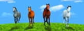 Záložka – Úžaska - Barvení koně