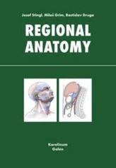Regional anatomy
