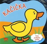 Kačička