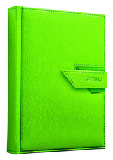 Diář 2014 Agama zelená