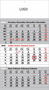 Standard šedý 3měsíční s českými jmény - nástěnný kalendář 2014