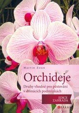 Orchideje - druhy vhodné pro pěstování v domácích podmínkách