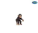 Šimpanz mládě