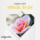 Origami přání - Děkuji, že jsi