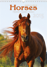 Horses Koně - nástěnný kalendář 2015