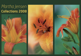 Collections 2008 - nástěnný kalendář