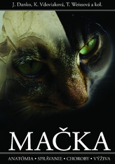 Mačka