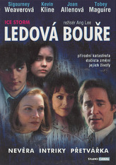 Ledová bouře