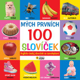 Mých prvních 100 slovíček anglicko - český slovník