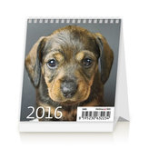 Mini Puppies 2016 - stolní kalendář