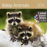 Kalendář nástěnný 2016 - Baby Animals