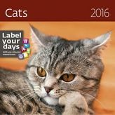 Kalendář nástěnný 2016 - Cats