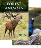 Kalendář nástěnný 2016 - Forest Animals