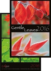 Kalendář nástěnný 2016 - Gentle Leaves