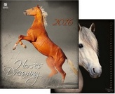 Kalendář nástěnný 2016 - Horses Dreaming/Exklusive