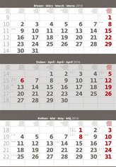 Kalendář nástěnný 2016 - Tříměsíční - šedý