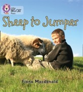  Sheep to Jumper
