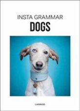  Insta Grammar Dogs