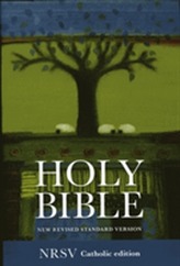  Catholic Bible: New Revised Standard Version