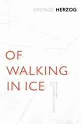  Of Walking In Ice