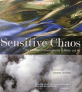  Sensitive Chaos