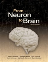 From Neuron to Brain
