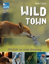  Wild Town
