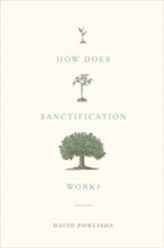  How Does Sanctification Work?