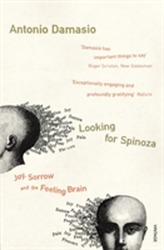 Looking For Spinoza