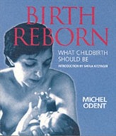  Birth Reborn