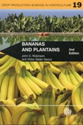  Bananas and Plantains
