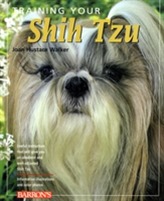  Training Your Shih Tzu