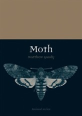  Moth