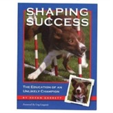  Shaping Success
