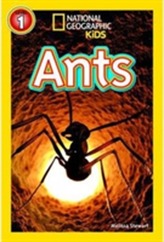  National Geographic Kids Readers: Ants