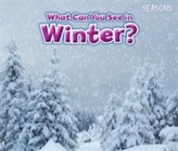  What Can You See In Winter?