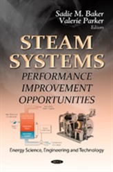  Steam Systems