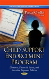  Child Support Enforcement Program