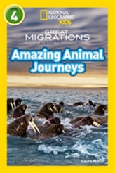  Amazing Animal Journeys