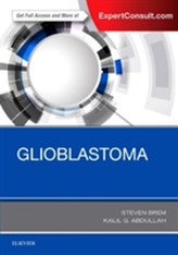  Glioblastoma