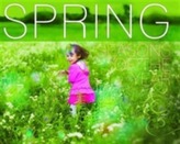 Spring