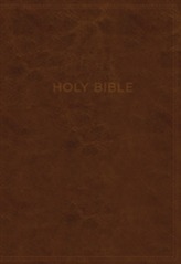  KJV, Know The Word Study Bible, Imitation Leather, Brown, Indexed, Red Letter Edition