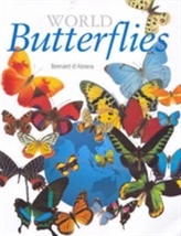  World Butterflies