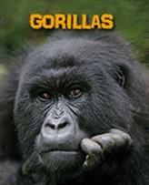  Gorillas