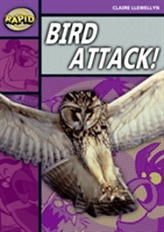  Rapid Stage 1 Level B: Bird Attack! (Series 2)