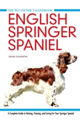  English Springer Spaniel