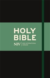  NIV Thinline Cloth Bible
