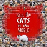  All the Cats in the World